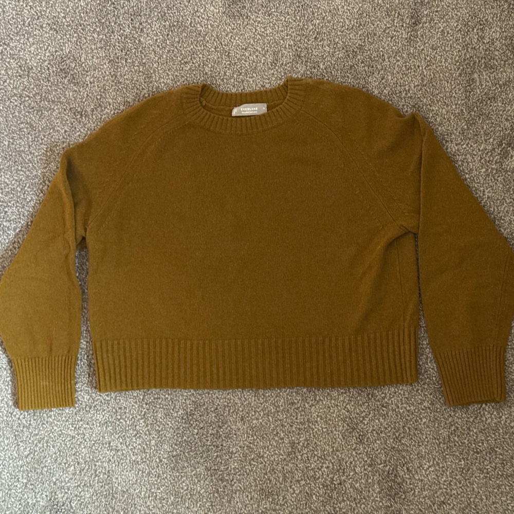 Everlane boxy cashmere sweater